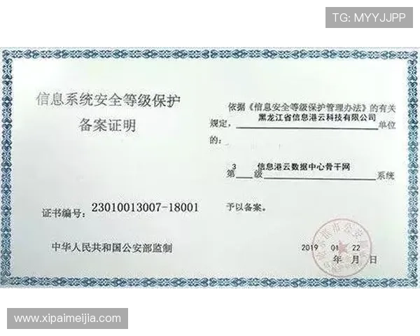 开云真人官网安全保障措施，保障玩家资金与信息安全的全面措施