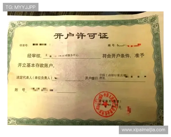 开云现金开户的优势与风险分析，帮助用户做出明智的选择