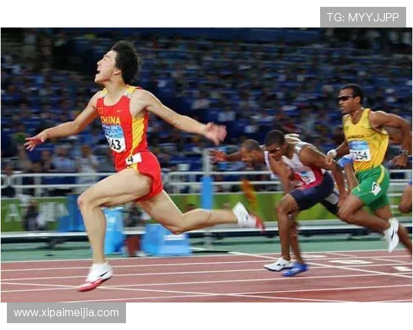 开运体育官方网站：聚焦体育明星动态与运动员训练秘籍的权威资讯站