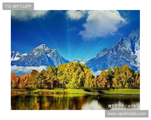 利用开运线上登陆提升运势,开启属于你的财富与健康双赢局面 利用开运线上登陆提升运势,开启属于你的财富与健康双赢局面