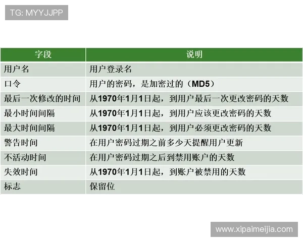 新手用户必读，了解开云官网登录后的操作与常见误区