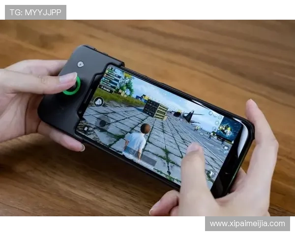 开云KY真人手机版最新版本上线带来优化的用户界面和流畅的游戏体验提升攻略