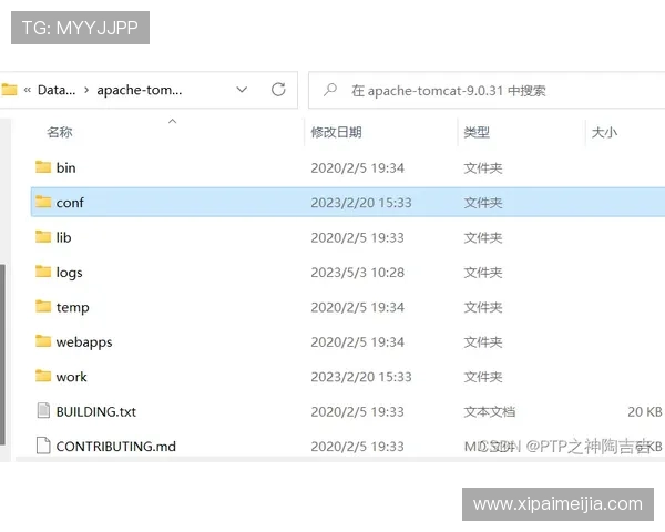获取KY体育官网下载地址的最佳途径，官方平台推荐与常见问题解答